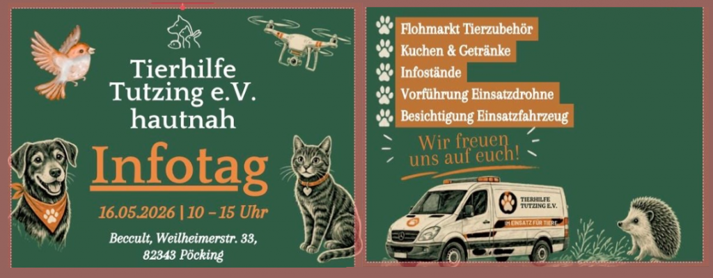 Infotag.png