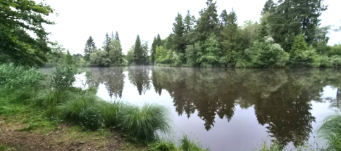 Deixlfurter-Weiher-2a.png