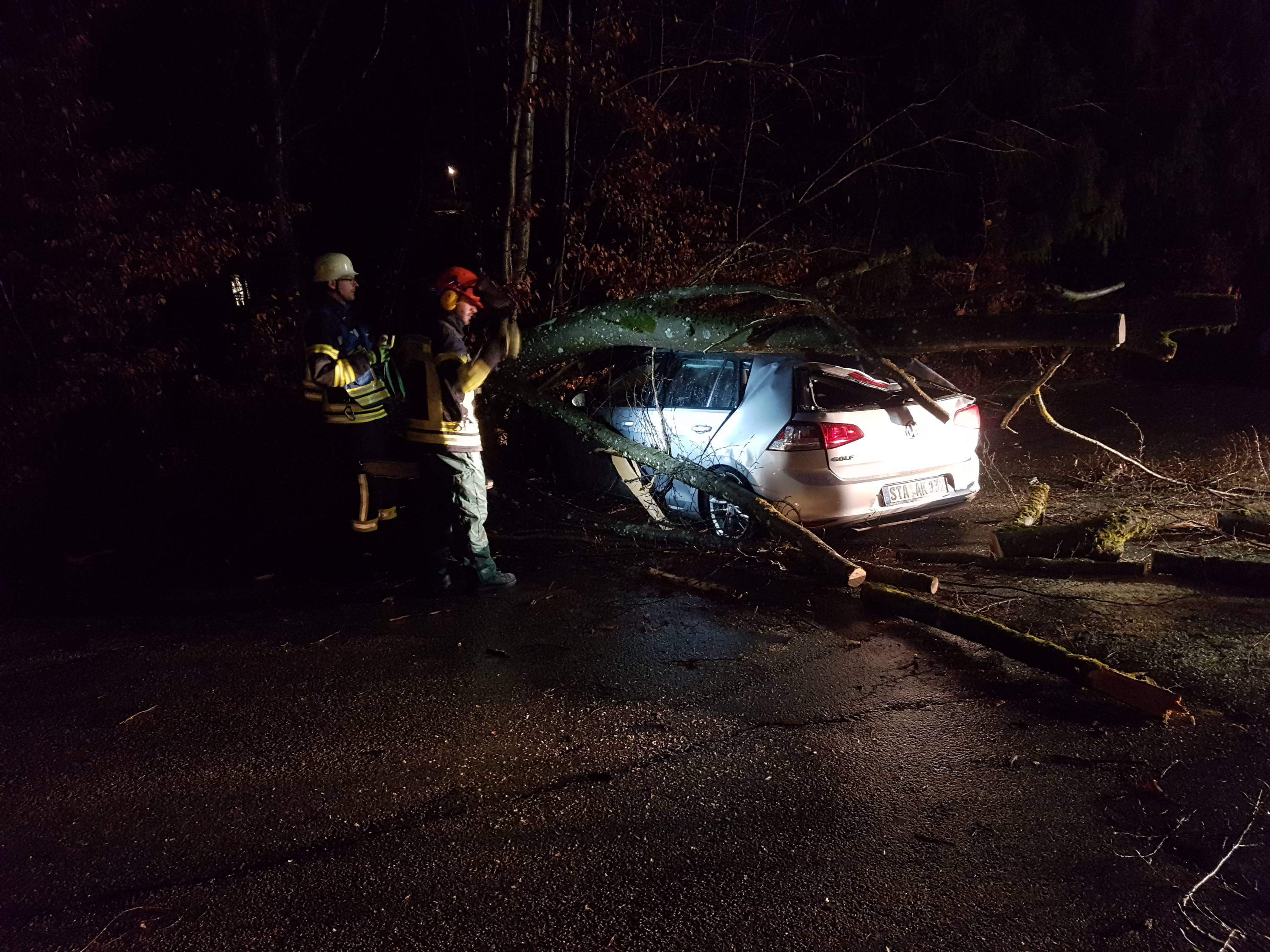 Baum quer über Monatshauser Straße - Tutzing - Vor-Ort News