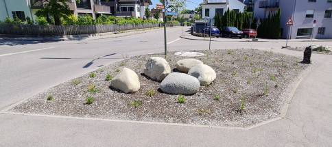 Traubinger4.jpg