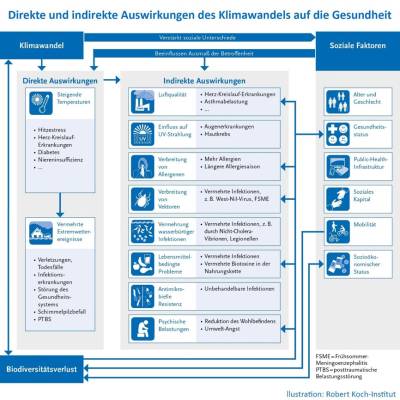 Gesundheitliche-Auswrikungen-Klimawandel.jpg