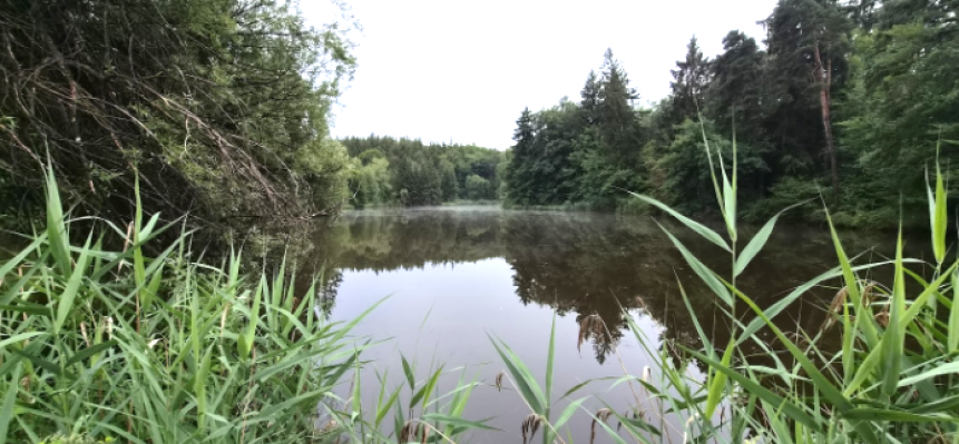 Deixlfurter-Weiher-1a.png
