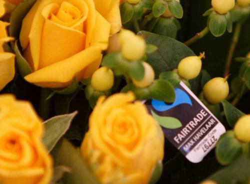 Fairtrade-Blumen-F-Nathalie-Bertrams-FairTrade.jpg
