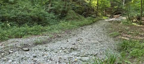 Waldschmidtschlucht.jpg