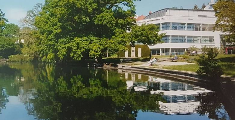 Gymnasium11-Jahresbericht-2019.jpg