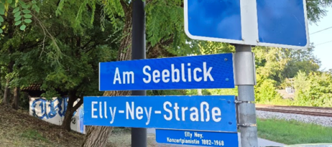 Elly-Ney-Stra-e2b.png