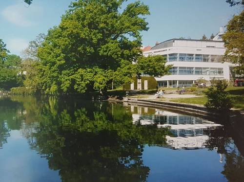 Gymnasium11-Jahresbericht-2019.jpg