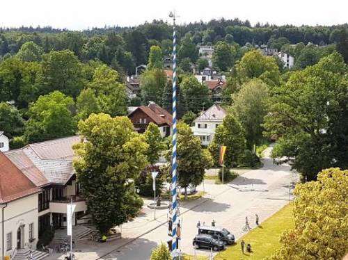 Maibaum-Tutzing.jpg