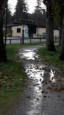 Lindenallee1.jpg
