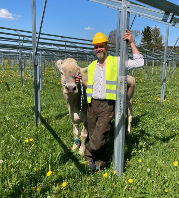 Agri-PV-Landwir-Gerhard-Metz-Kuh-Marvella-F-Nestl-.png