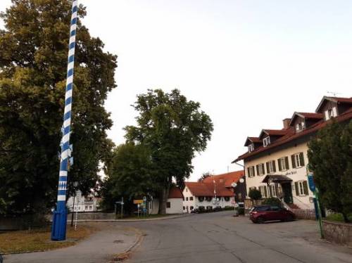 Maibaum-Traubing-alt.jpg