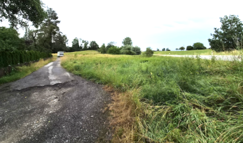 Weidenweg4.png