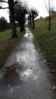 Lindenallee3.jpg