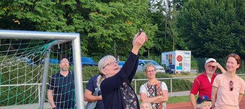 Mauersegler2.jpg