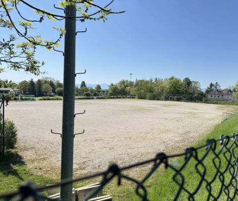 Hartplatz4.jpg