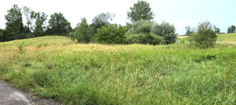 Weidenweg5.png