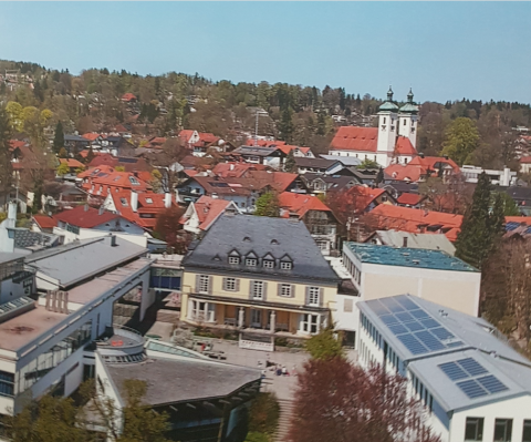Gymnasium9.png