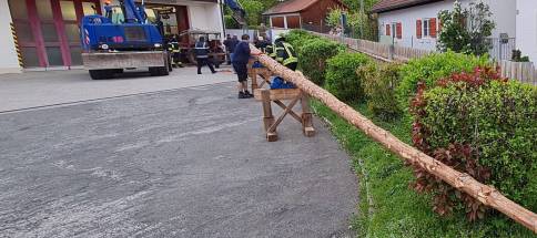 Maibaum-holen-11.jpg