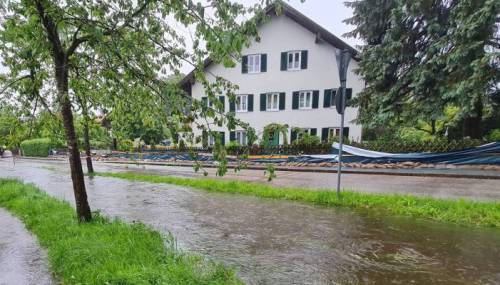Traubing-Mitte-2024.jpg