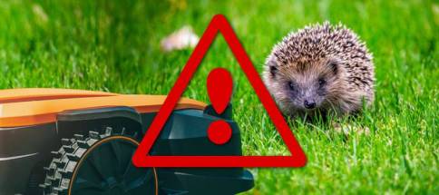 Igel-M-hroboter-F-Bayer-StM-f-rUmwelt-u-Verbraucherschutz.jpg