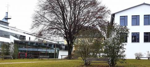 Gymnasium11.jpg