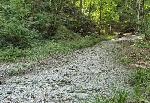 Waldschmidtschlucht.jpg