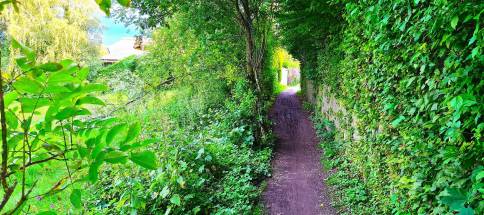 Ho-henrieder-Weg-2.jpg