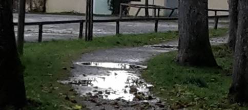 Lindenallee1.jpg